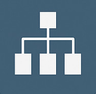 Management